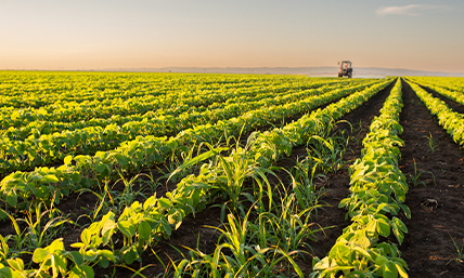 Farming & Agriculture